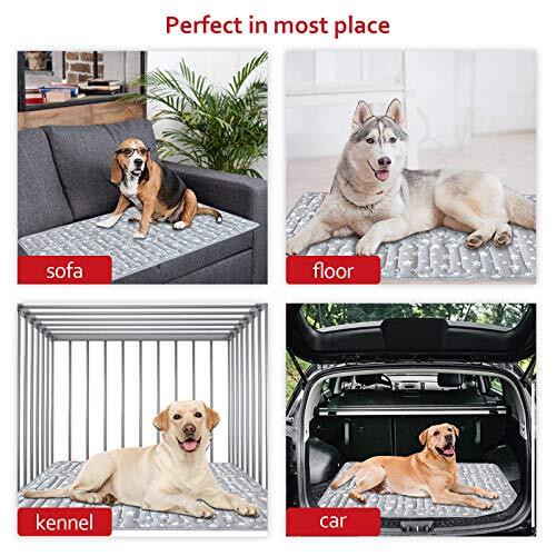 30 X 20 X 23 Dog Crate