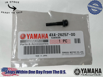 Yamaha OEM (90-26) PW50 Y-Zinger Throttle Restrictor Screw 4X4