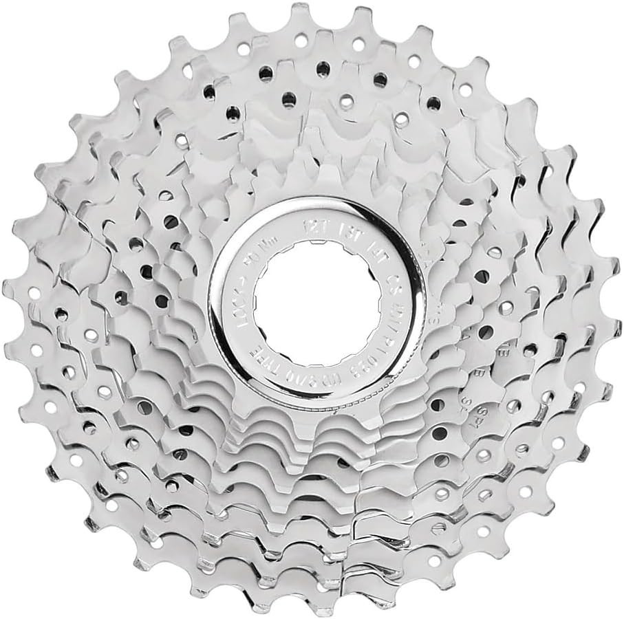 Campagnolo Veloce 10 Speed Cassette 13/29, Silver 