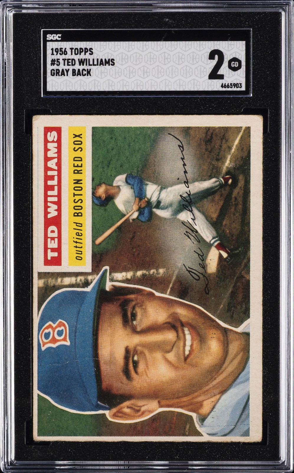 1956 TOPPS GRAY BACK #5 TED WILLIAMS SGC 2