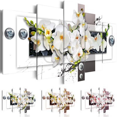 Orchidee Blumen Leinwandbild TNT Drucke Wandbilder Bilder b-C-0150-b-n