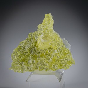 RARE TASMANIAN BRUCITE!!! Gorgeous Miniature, One Time Find Closed Location