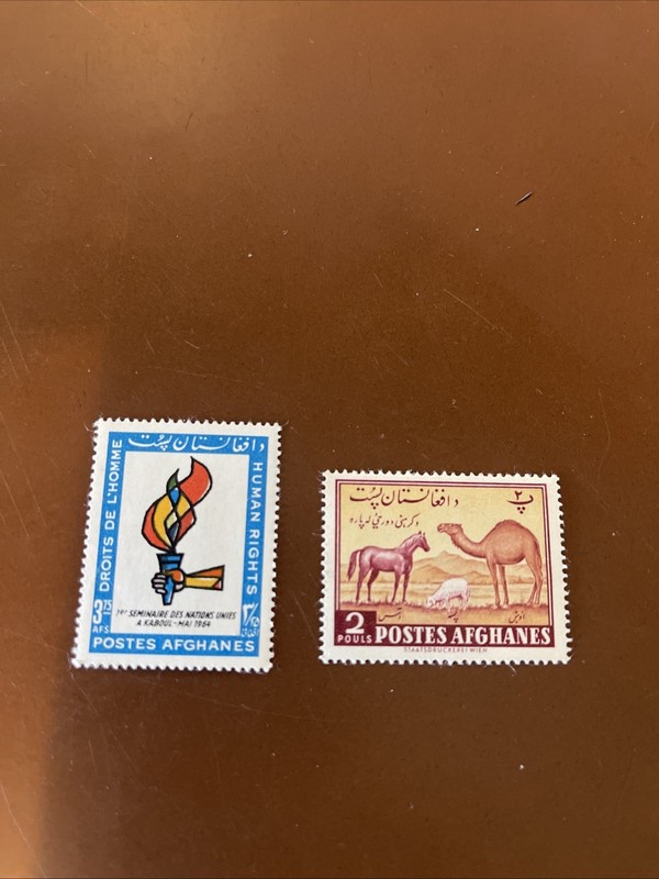 AFGHANISTAN 1964 Human Rights Seminar Kabul And "Horse-Sheep-Camel"