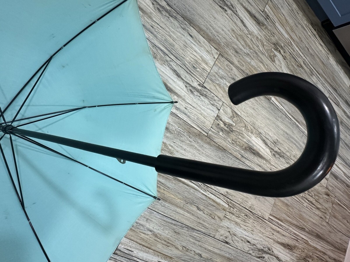 Tiffany & Co. Employee Gift Parasol Umbrella | Tiffany Blue