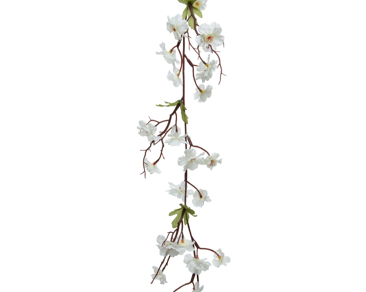 kleiner blumenkasten Coemo Blumenkasten Riga kleines Kruterbeet Pflanzkbel