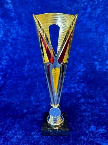 Silver or Gold Cone Award Dance Martial Arts Equestrian Sport Gym FREE Engraving - Picture 4 of 4
