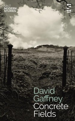 Concrete Fields David Gaffney