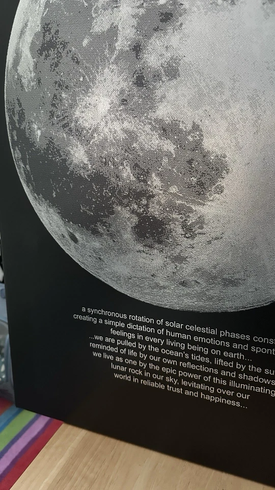 IKEA Mondphase  PJÄTTERYD Bild, Leinwand Voll Mondlicht, 50x70cm Rahmen Mond - Bild 2 von 4