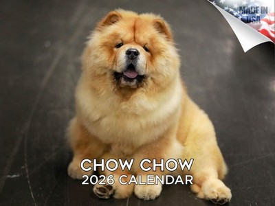 Chow Chow Dog Breed Calendar 2026 12x18 Made in USA