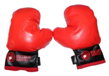 Orange Bullseye Boxing Set Gloves Childs 4-8