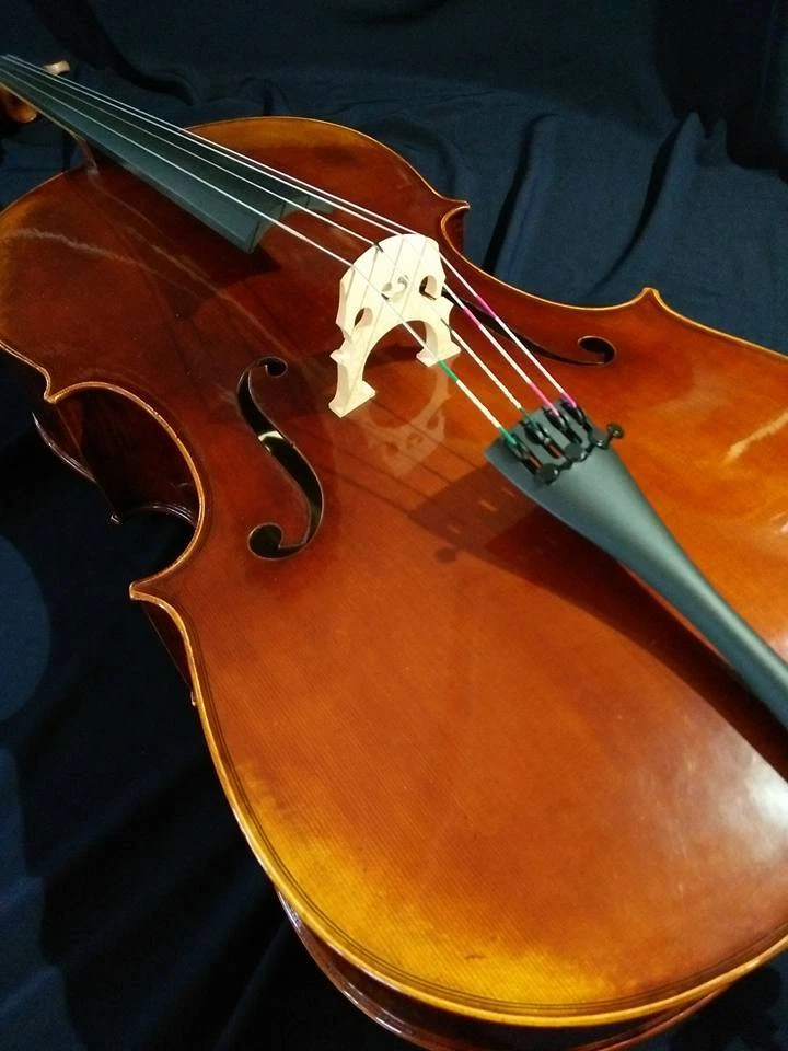 Cannzona C170E Cello - Image 3 of 4