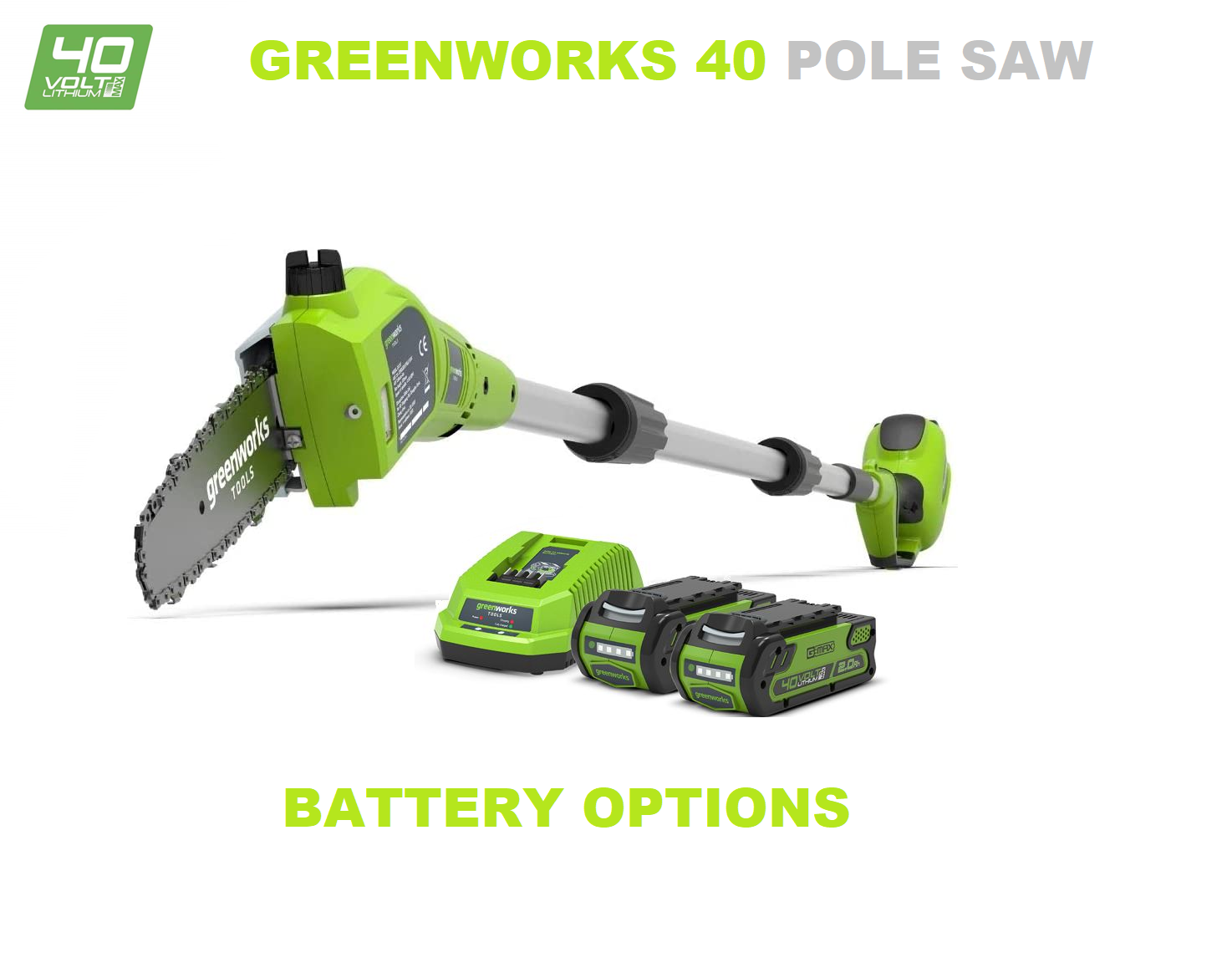 Greenworks 40v Pole Saw G40PS20 eBay