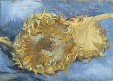 Two Sunflowers Vincent van Gogh 1886 Art Print – Dutch Post-Impressionist Floral