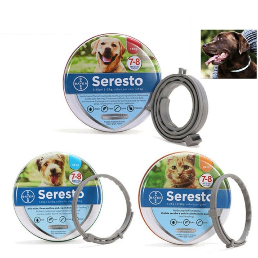 Collar Antiinsectos Pulgas y garrapatas 8 Meses Protección para Gatos Perro