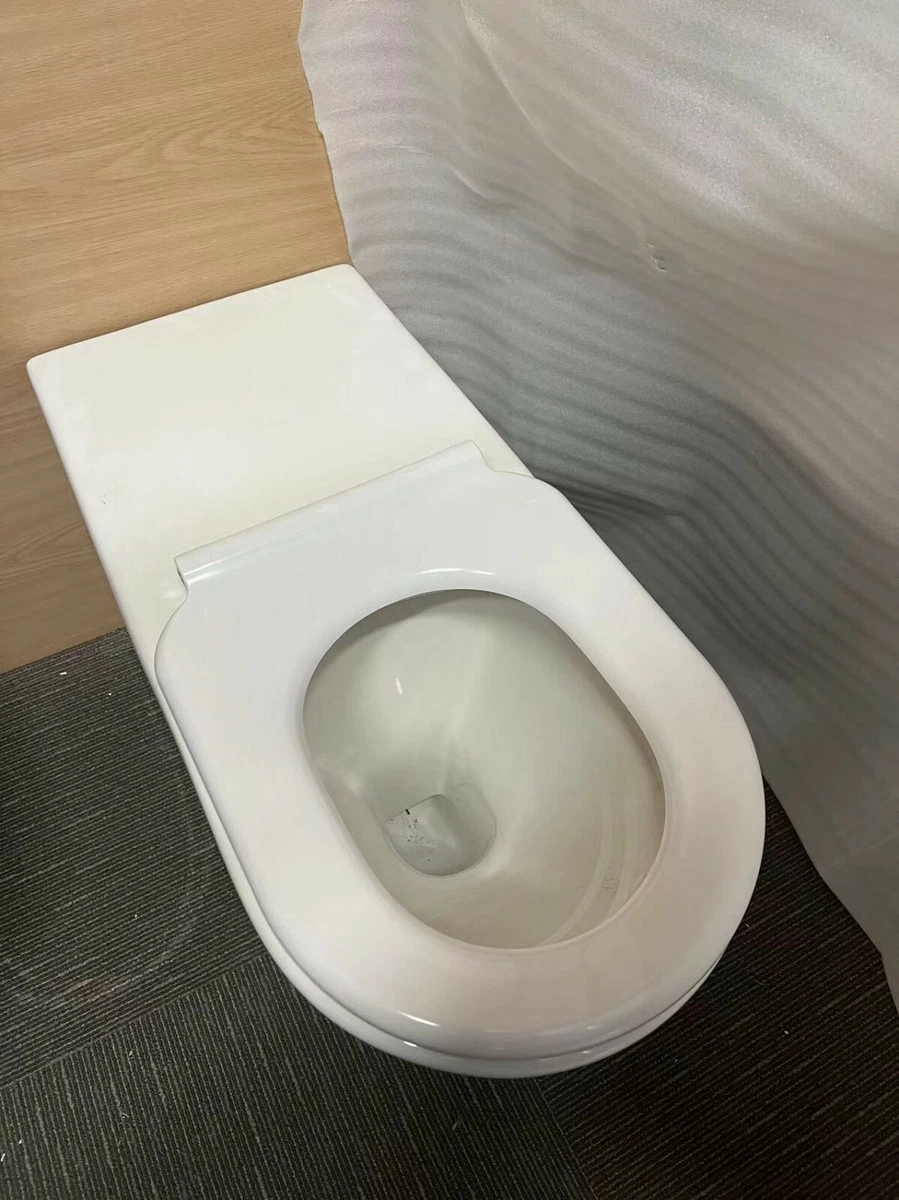 Disabled best sale toilet seat