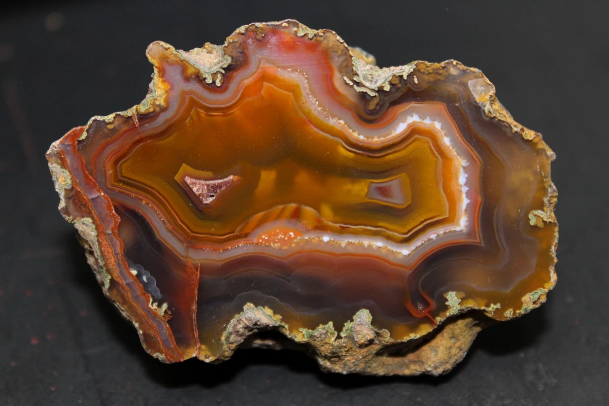 25+ Condor Agate for sale | Updated Oct 2026