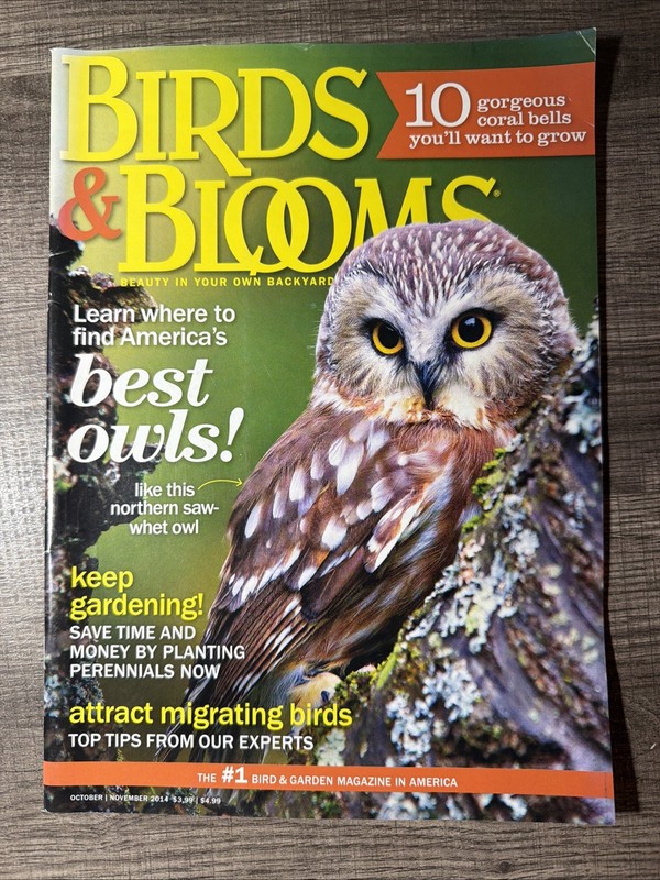 Birds & Blooms Magazine October November 2014 - Best Owls