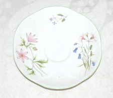 Shelley Bone China 13977 Wild Anemone Dainty 5.3/4 inch Saucer