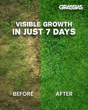 Grassias Fast Growing Grass Seed – 1.70KG Premium Quality Lawn Seed for Lawns 12.74 per kilo