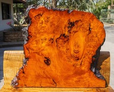 Gold AMBOYNA BURL LUMBER Live Edge Wood DIY Table Top Epoxy Resin Natural Slab