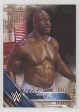 2016 Topps WWE Tag Team Championship Bronze Titus O'Neil #36 Patch Tag 0a3
