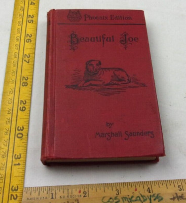 Beautiful Joe dog Marshall Saunders hardcover book 1922