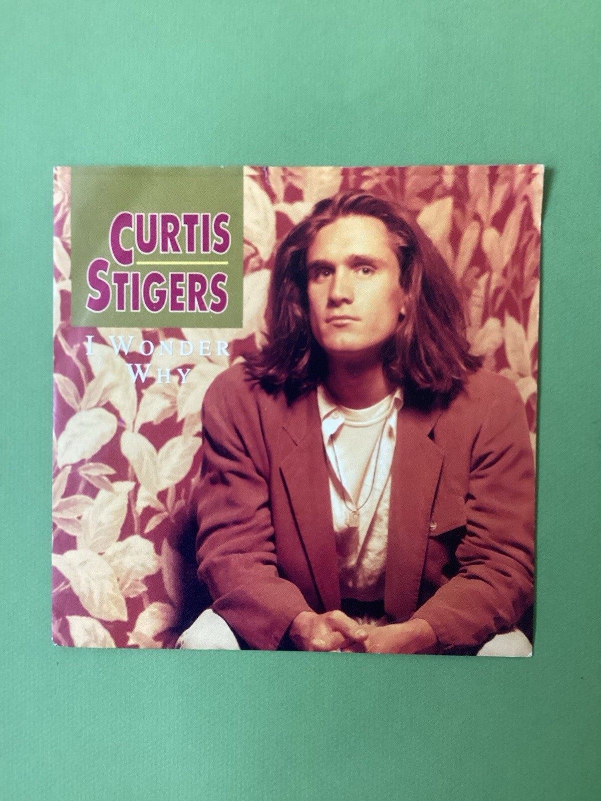 Curtis Stigers - I  Wonder  Why  - 7"" Vinyl Single