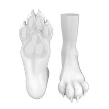 FURRJOI A Pair Of Silicone Dog Paws Puppy Sock Feet Footwear for Cosplay Costume