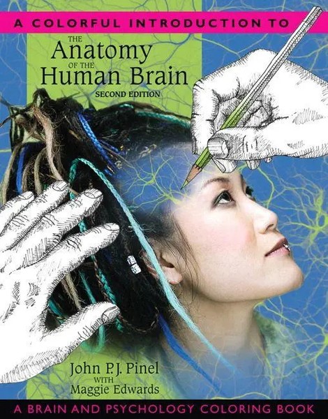 John Pinel (U. A.) | Colorful Introduction To The Anatomy Of The Human Brain,...-image