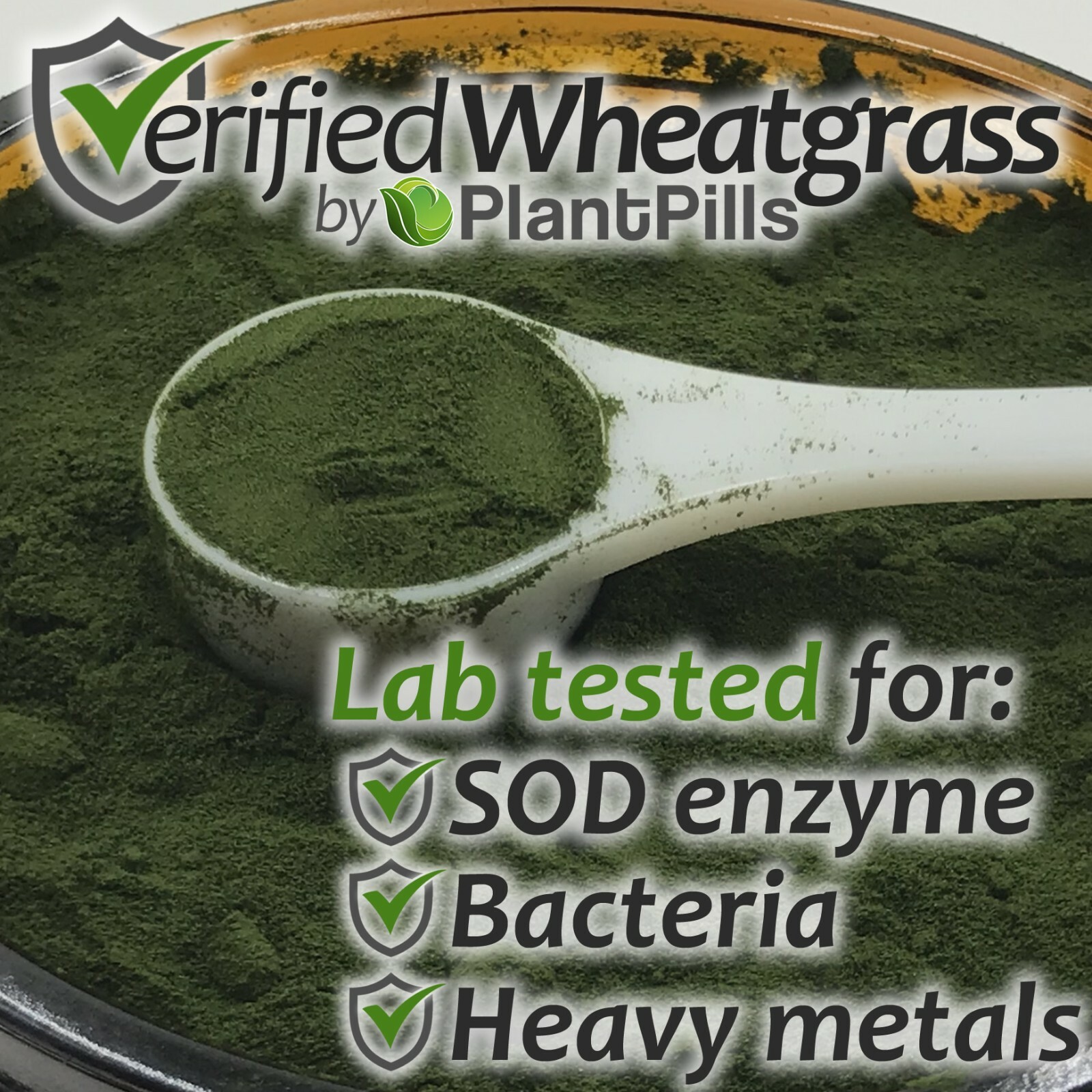 2 kg PlantPills Raw Field Grown Freeze Dried Kamut® Wheatgrass Juice Powder