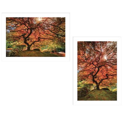 ''First Colors of Fall I'' 2-Piece Vignette by Moises Levy, White Frame