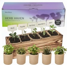 5 Herb Garden Kit with Wooden Box - Including Basil, Thyme, Parsley, Rosemary, M