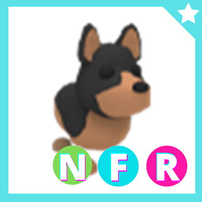 ADOPT PETS STORE / FR NFR MFR / Best Pets ON SALE!! (Compatible with Adopt  Me) $54.75 - PicClick AU