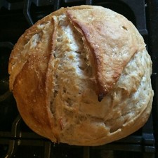 san francisco sourdough starter 10 decades old sour very active S.F.