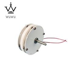 Mini Generatore a Disco Coreless Generatore Magnete Permanente Motore Brushless