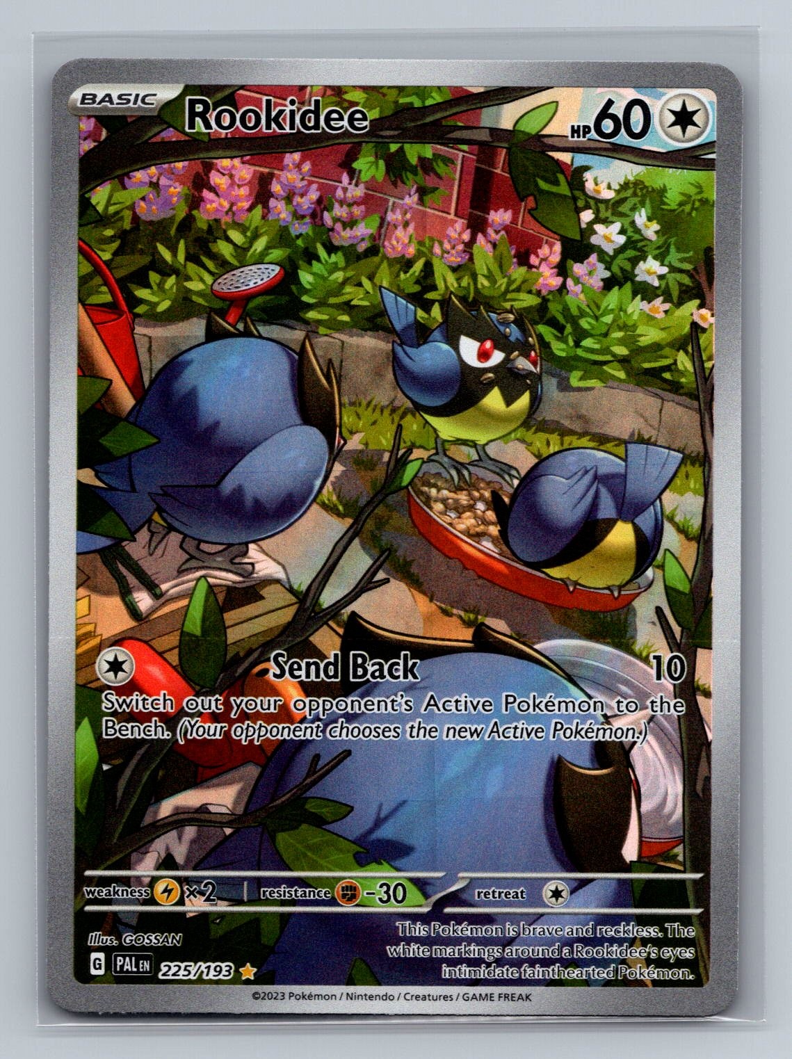 Rookidee 225/193 Pokémon TCG Illustration Rare SV02: Paldea Evolved Near Mint