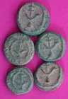 5 Nice Widows Mite Coins Jerusalem Patina Holy Land Artifact Small Leptons T1072