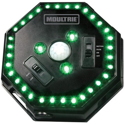 Battery Powered Hog Light - 4 Modes, Adjustable Brightness