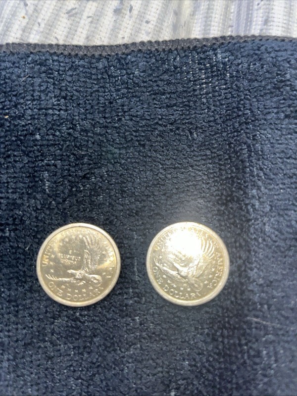 I Have 2 Sacagawea 2000 Gold Dollars In Great Condition
