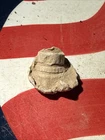 Dug Civil War  💥 🇺🇸 💣 Sharps Bullet Brandy Station Va
