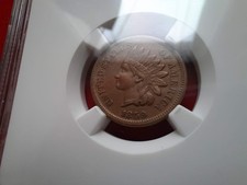  on The Hot Collector