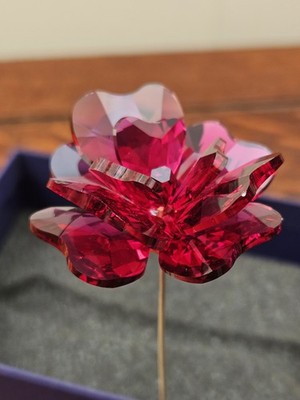 Swarovski Garden Tales Rose 5557800 Kristall Blume mit Box nicht mehr produziert