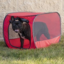 Soft-edged 32-inch pop-out mesh dog crate, red, medium