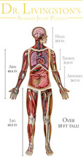 DR. LIVINGSTON'S ANATOMY JIGSAW PUZZLE THE HUMAN VOLUME 1-7 select BRAND NEW