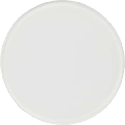 Profoto Glass Plate für Flat Front Frosted by studio-ausruestung.de