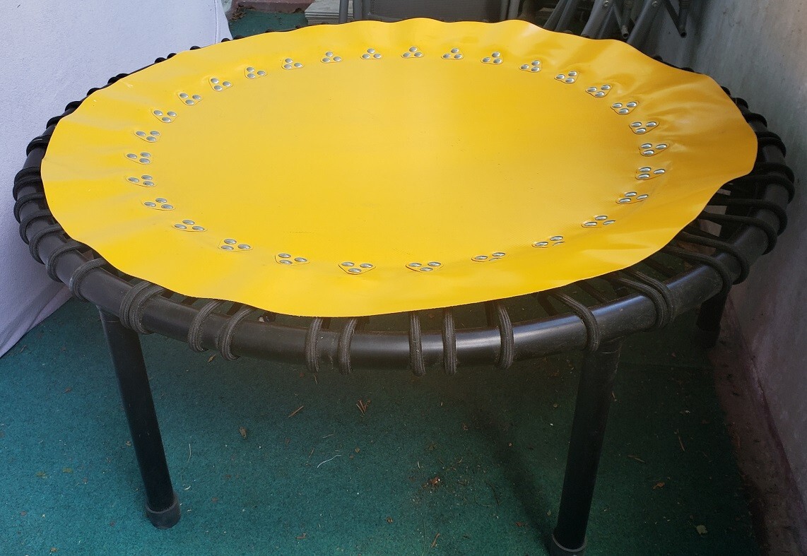 Indoor/Outdoor Trampolin von Bellicon 90cm sehr guter Zustand kaum benutzt
