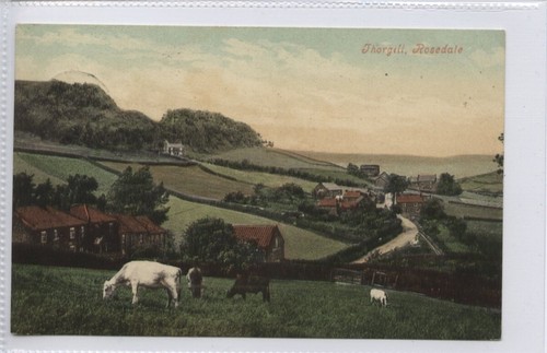(KLj7253) Thorgill, ROSEDALE, Pickering, Yorkshire 1910 - Picture 3 of 4