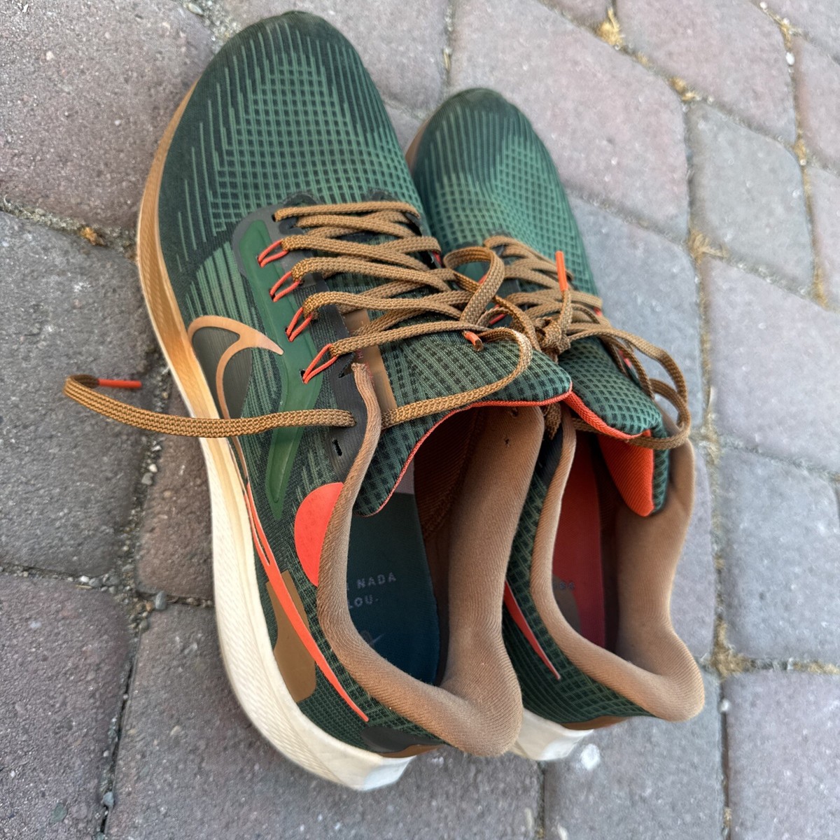 nike air pegasus 39 hola lou