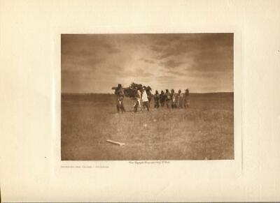 1908 Original Photogravure | Brining the Cedar - Arikara | Edward Curtis