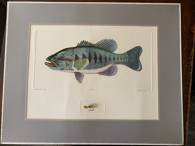 Dan Mitra Signed Numbered Limited Edition Largemouth Bass Print 65/350